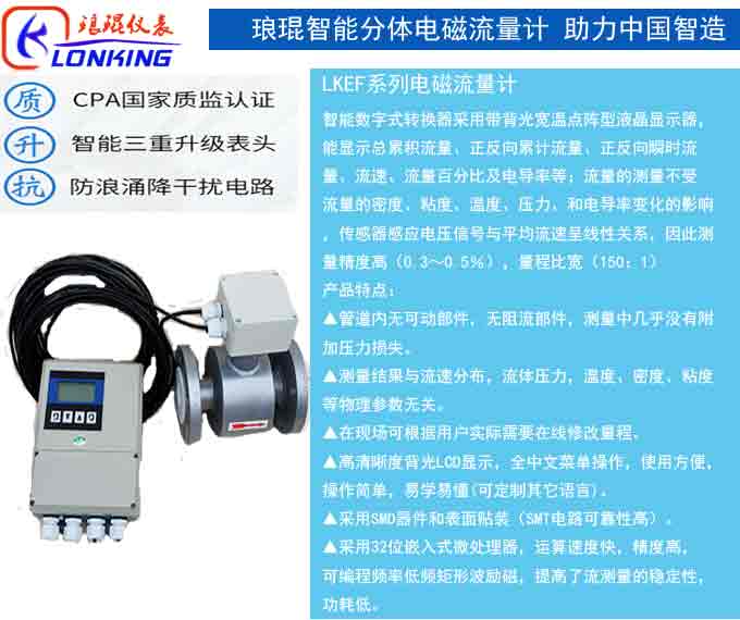 電磁流量計參數(shù)說明分體.jpg